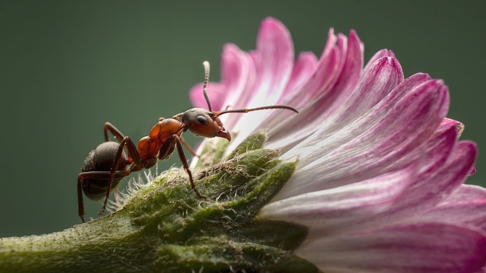Photograph by Людмила Железнова