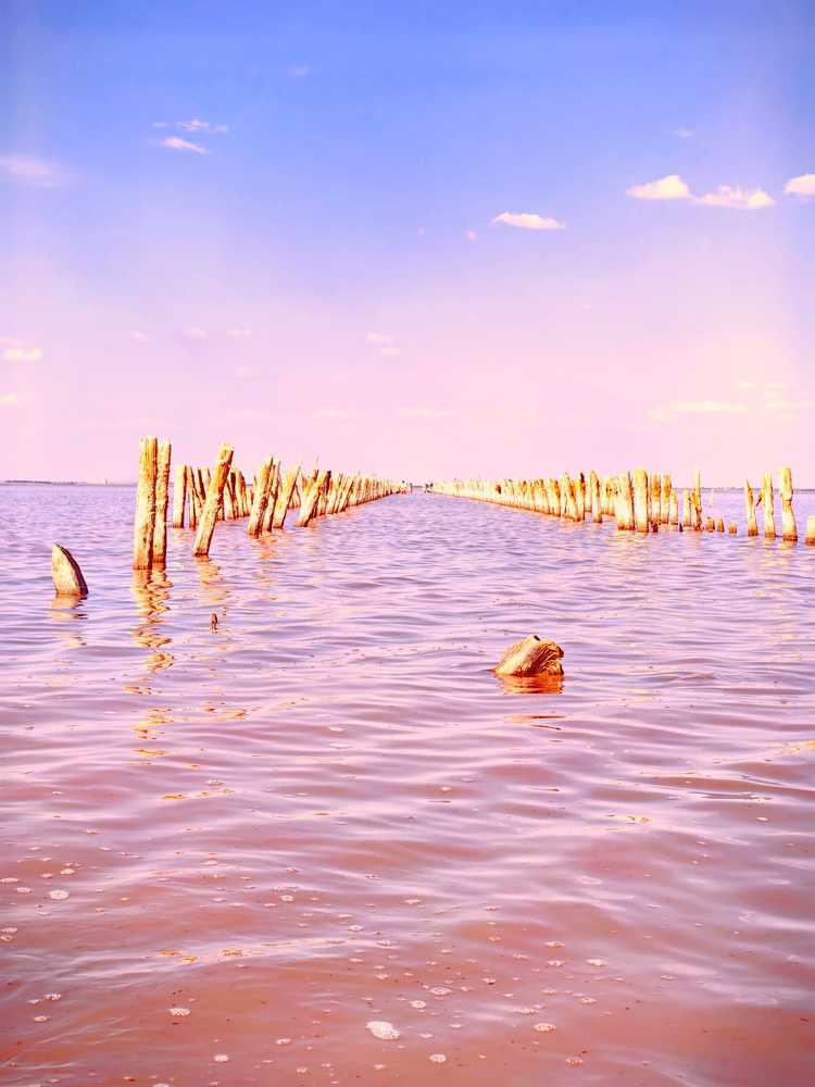 Photograph by Bayborodova Darya