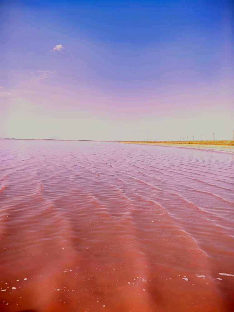 Photograph by Bayborodova Darya