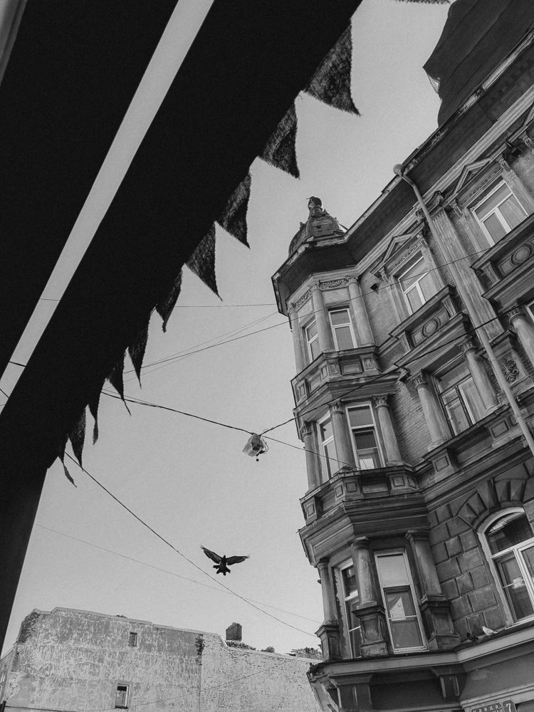 Фотография автора Элина Криворучко