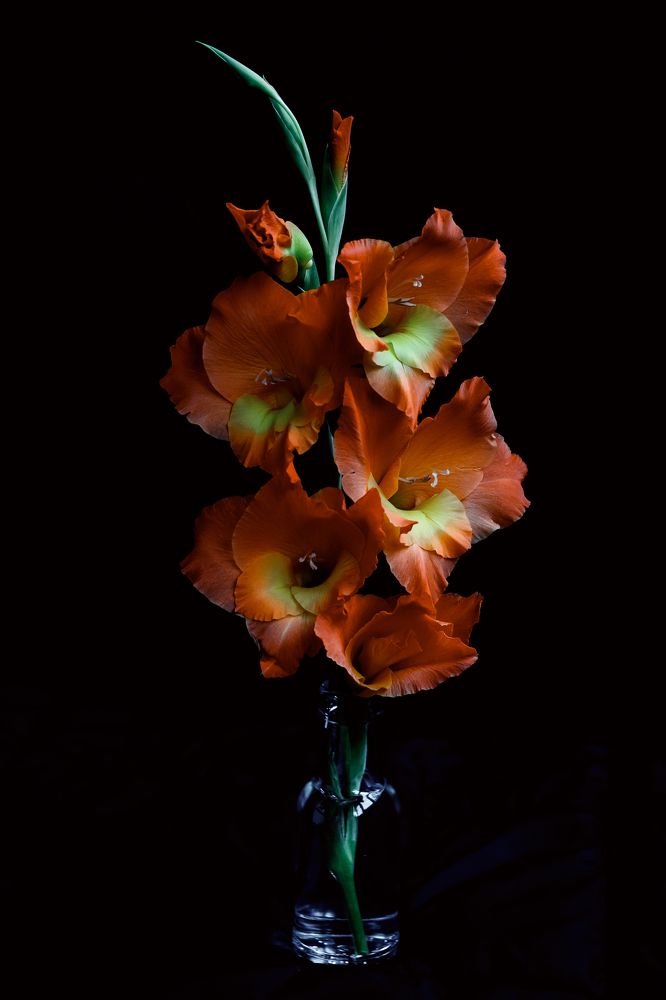 Photograph by Ольга Осинина