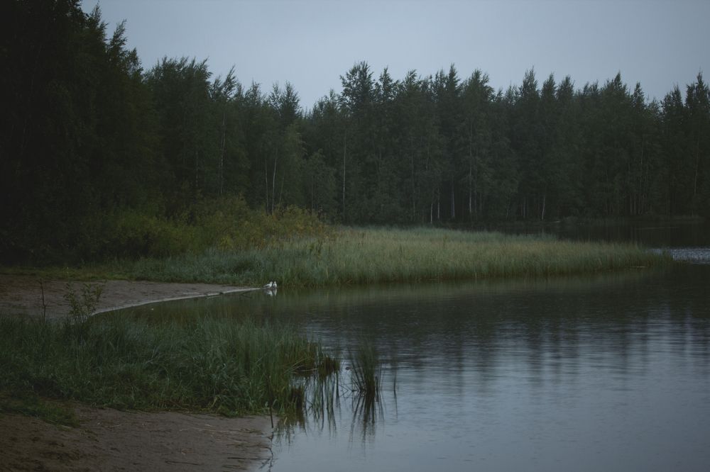 Озеро.Август