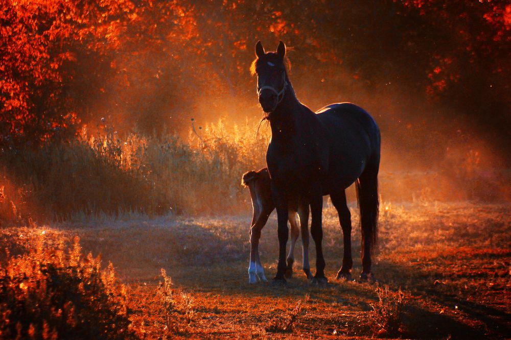 Photograph by Vitaliy Saposhnikov