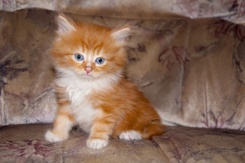 Photograph by Юлия Козельских