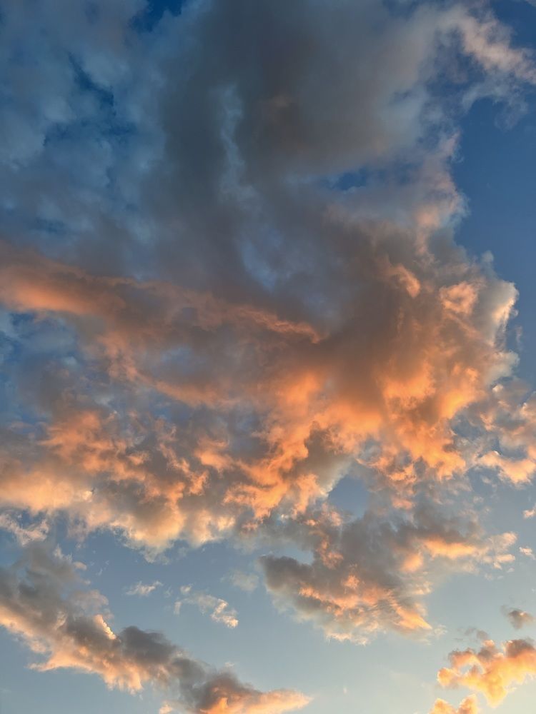 Photograph by Алёна Стародубцева