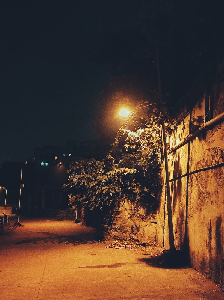 Фотография автора Joy kapadia