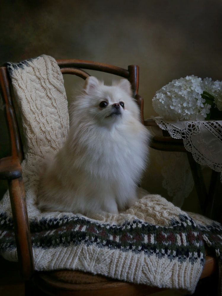 Photograph by Елена Бородина