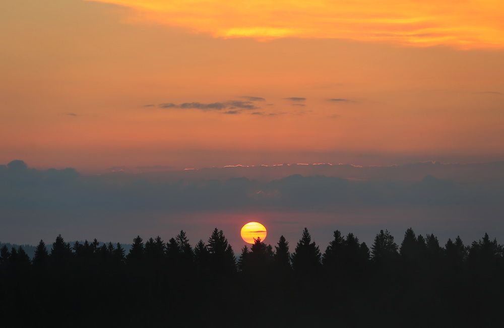 Photograph by Дмитрий Петухов