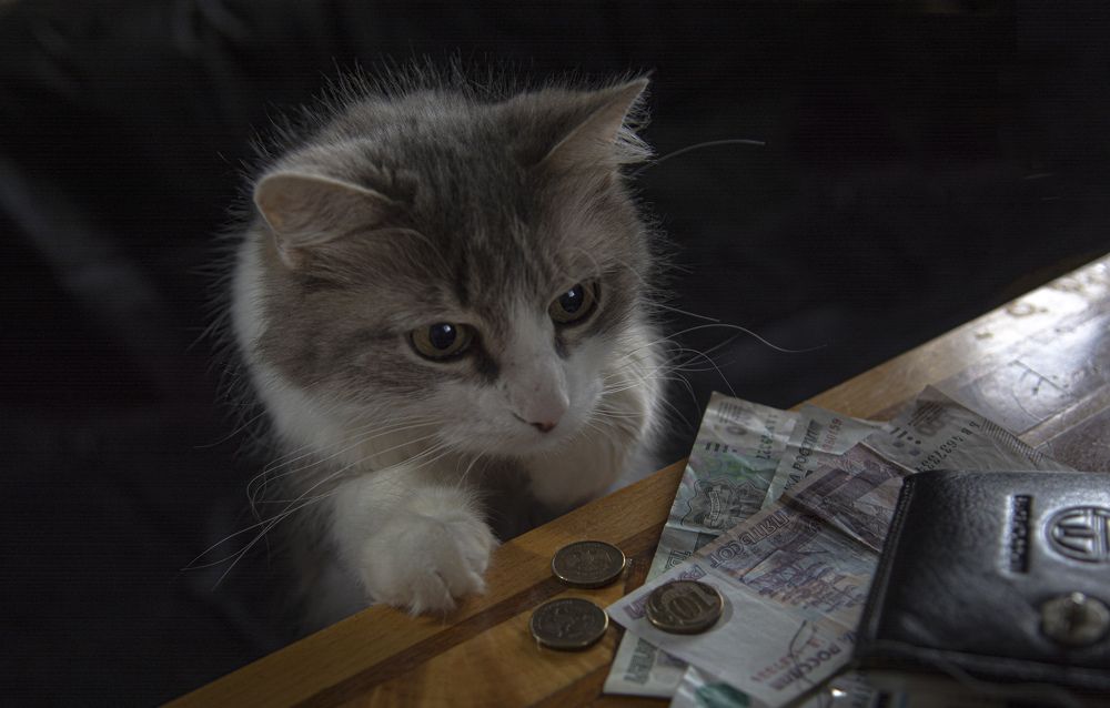 Photograph by Игорь Смирнов