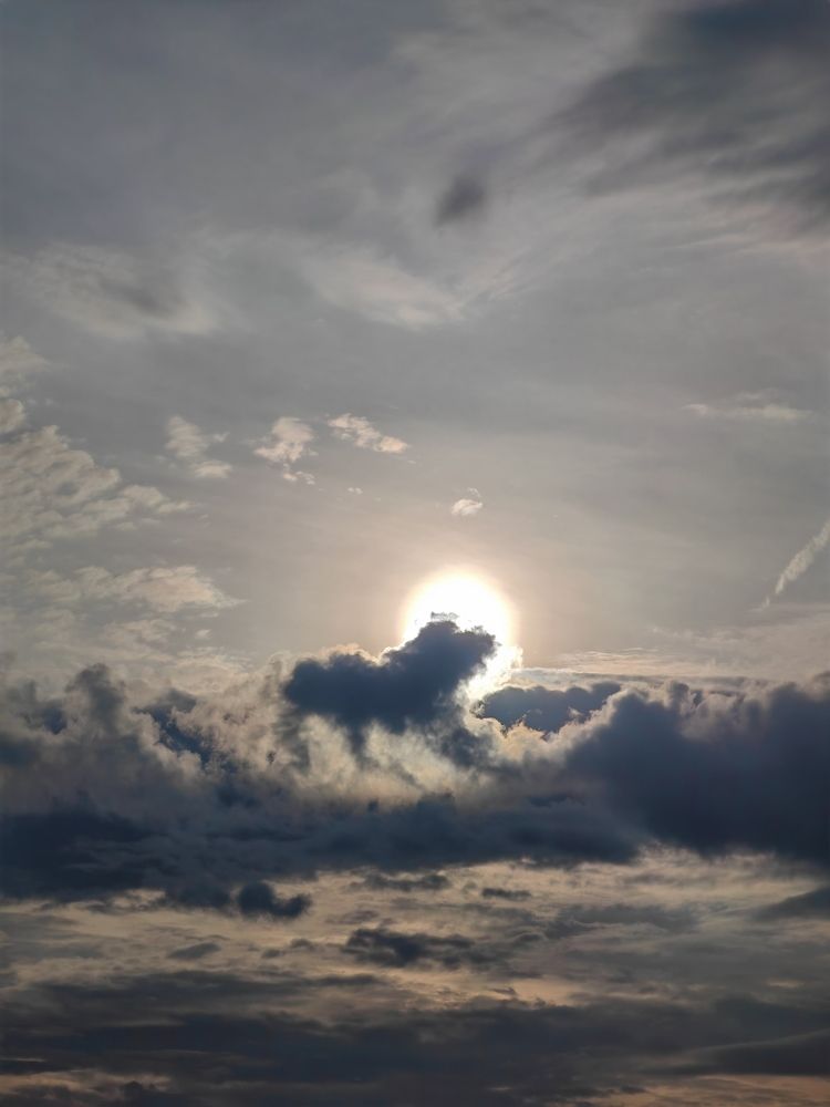 Король лев!