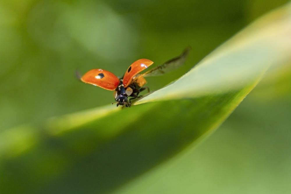 Photograph by Ольга Крючкова