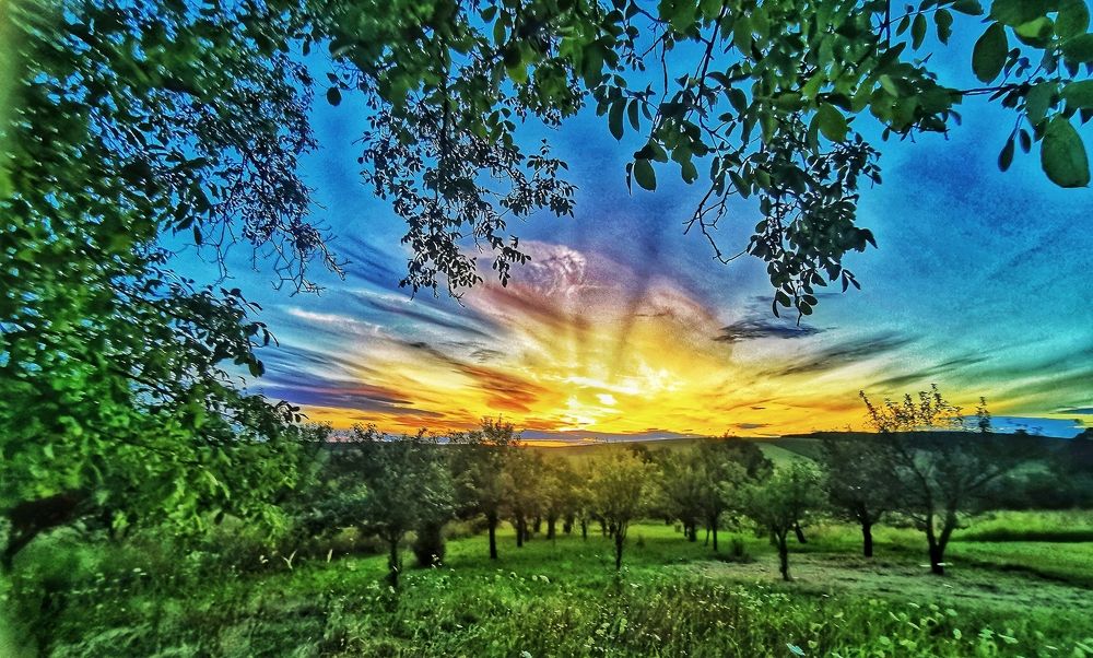 Photograph by Nikolett Mengyi