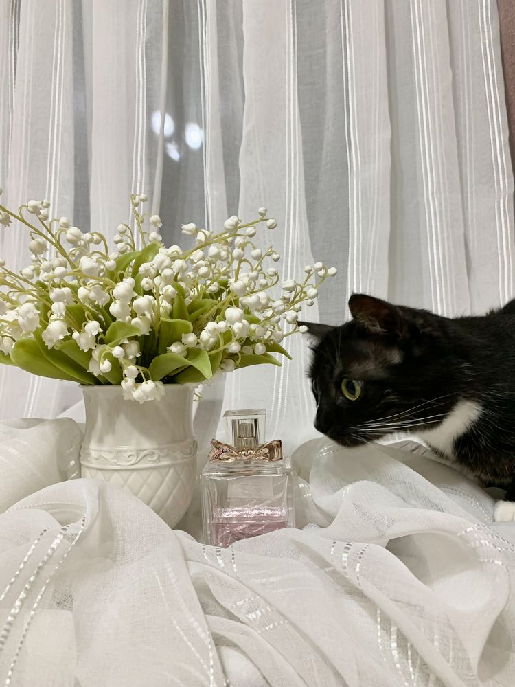 Photograph by Елена Макуха