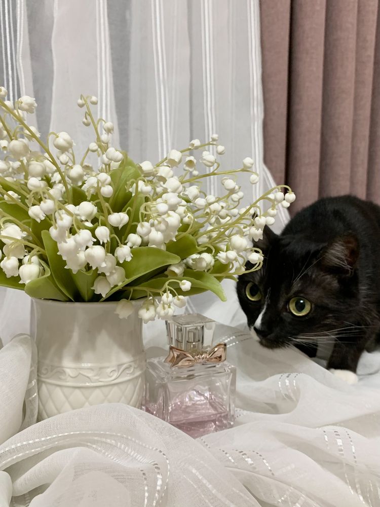 Photograph by Елена Макуха