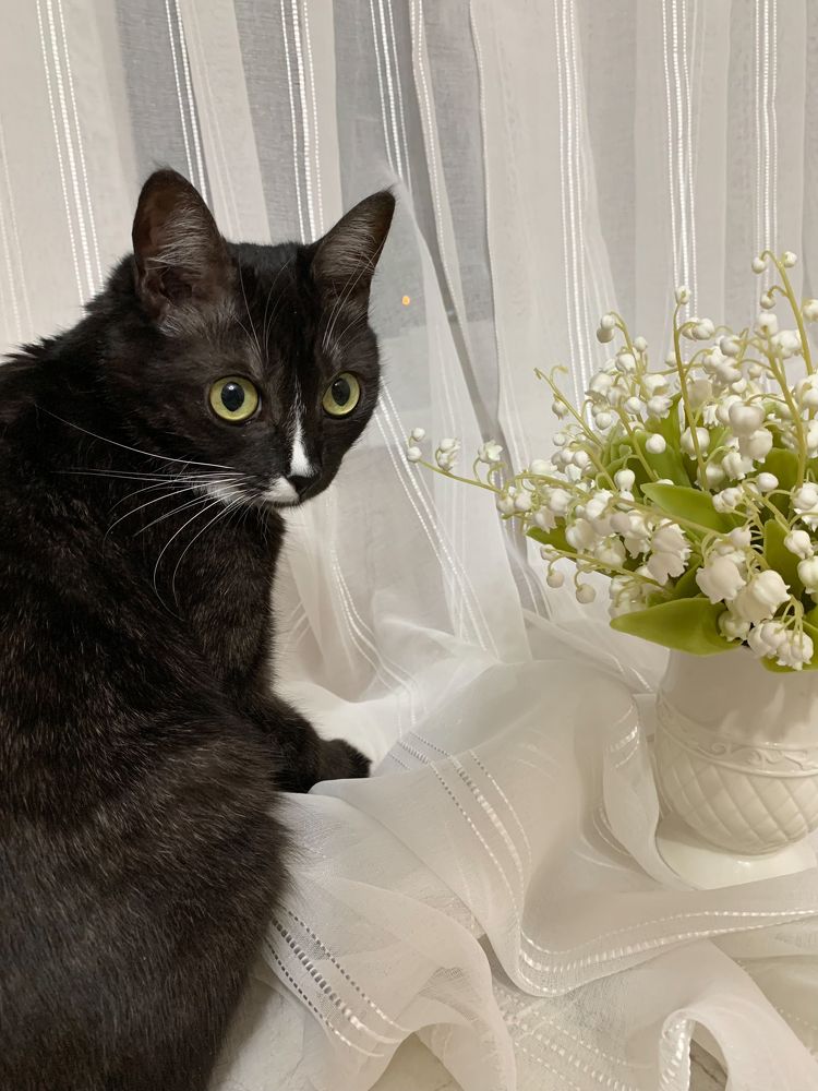 Photograph by Елена Макуха