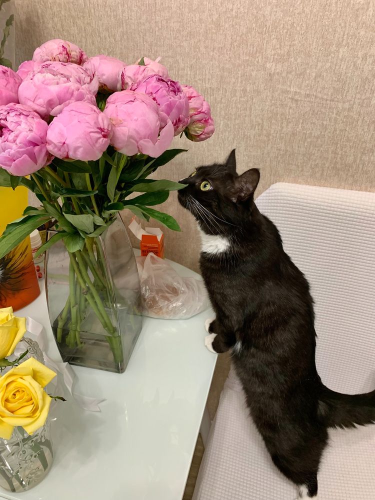 Photograph by Елена Макуха