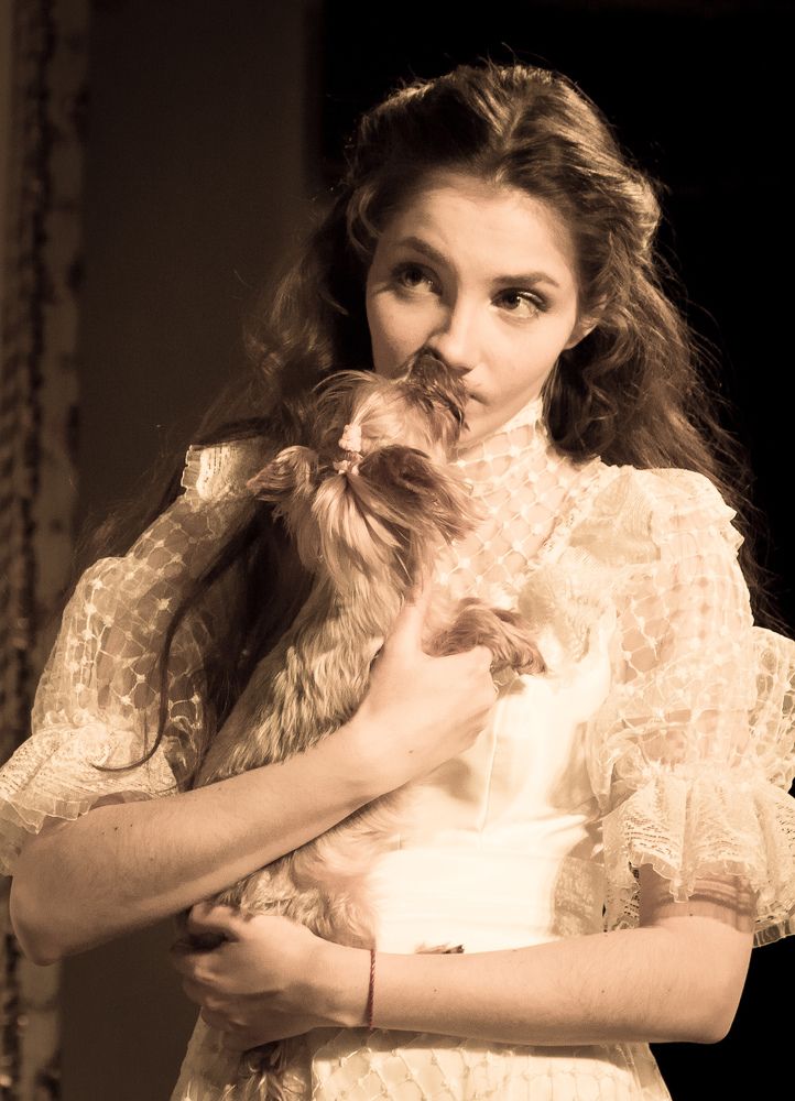 Фотография автора Владимир Ступинский