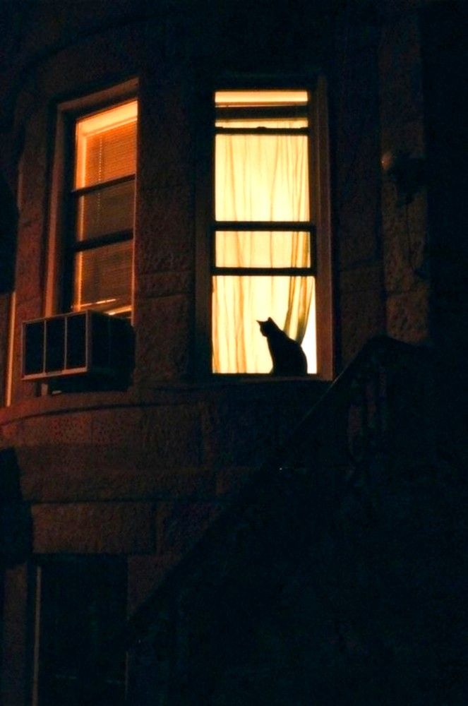 Photograph by Евгений Никонов