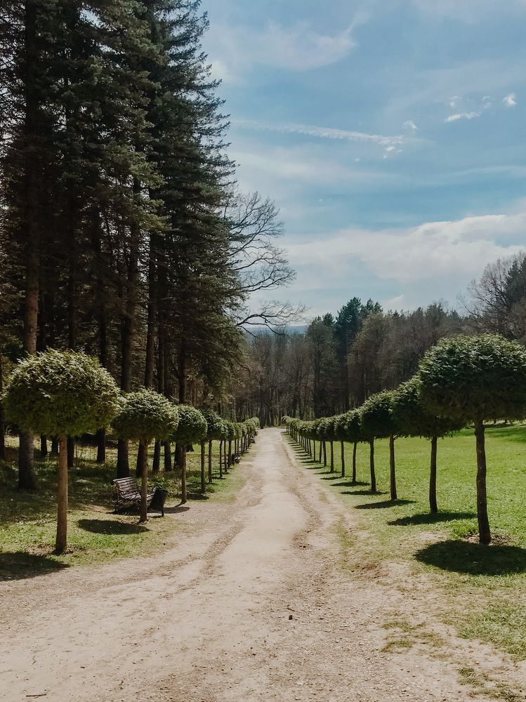 Photograph by Наталия