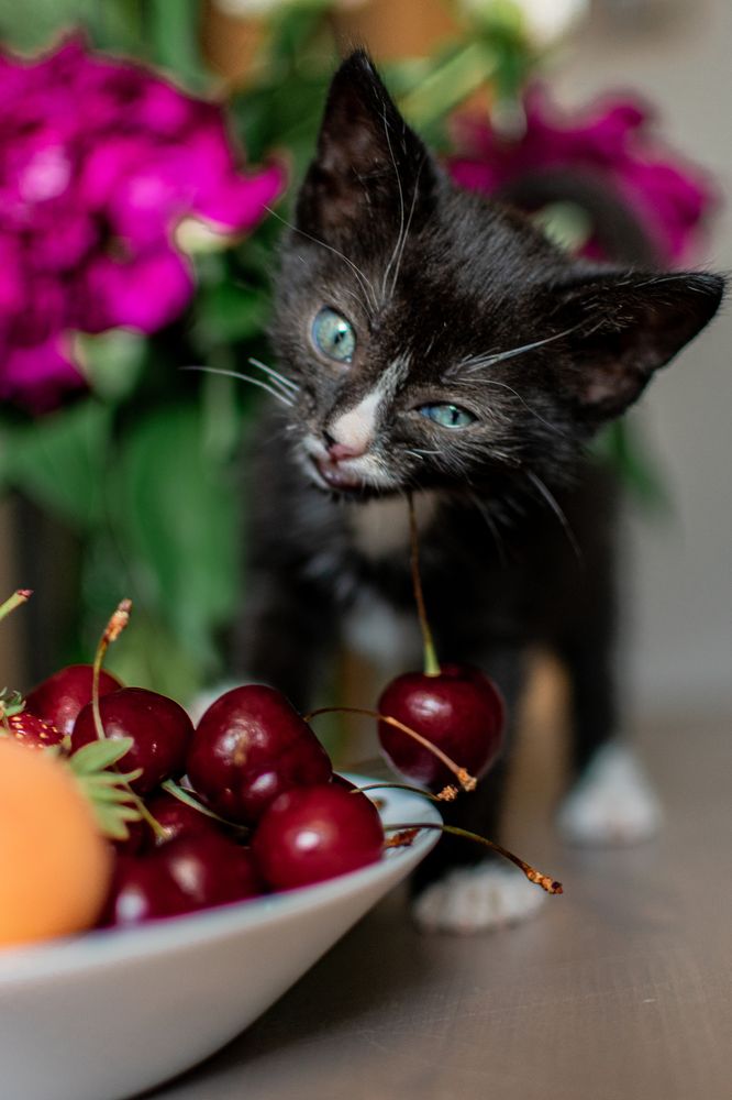 Photograph by Екатерина Абатурова