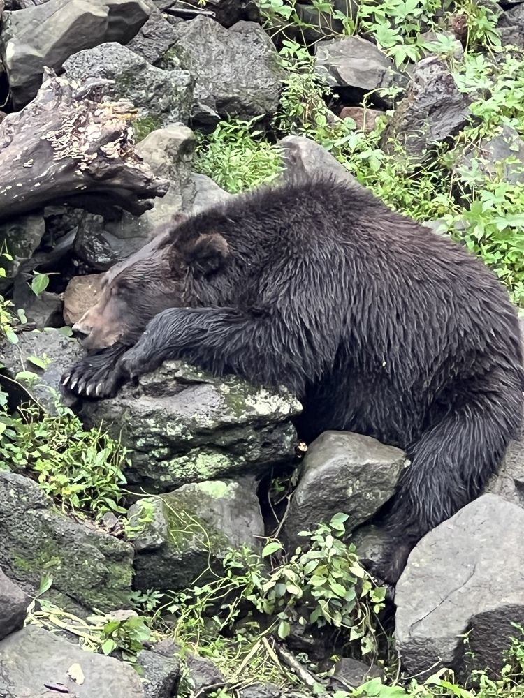 Photograph by Кира