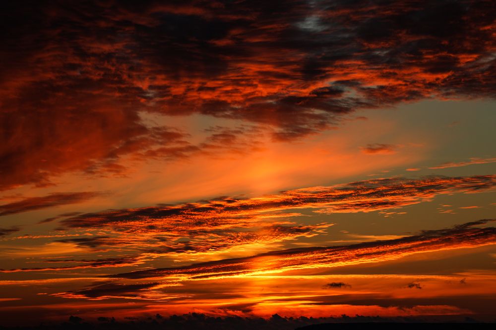 Photograph by Sergei Komlev