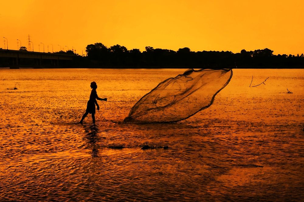 Фотография автора PRADIPTAMOY PAUL