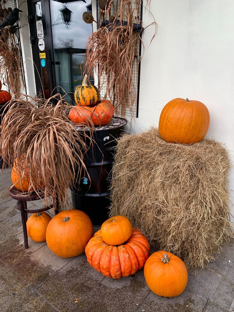 Photograph by Елена Макуха