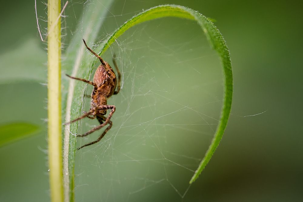 Photograph by Юрий Яковлевич