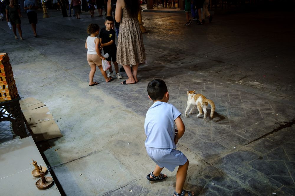 Photograph by Костин Дмитрий