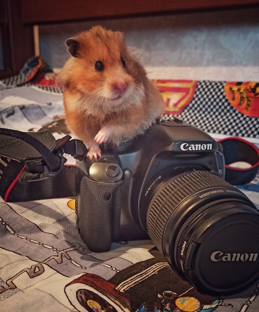 Photograph by Анна Валерьевна