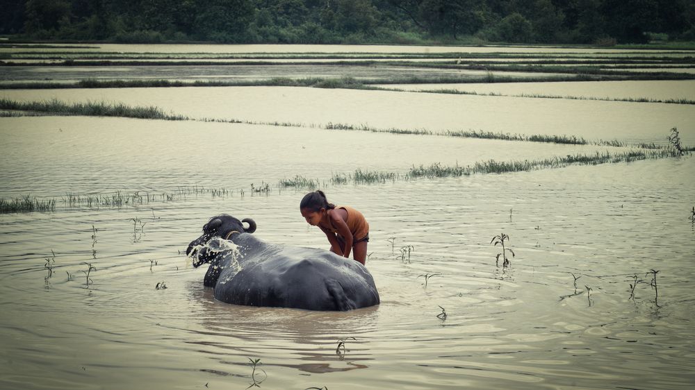 Photograph by Manjri Saxena