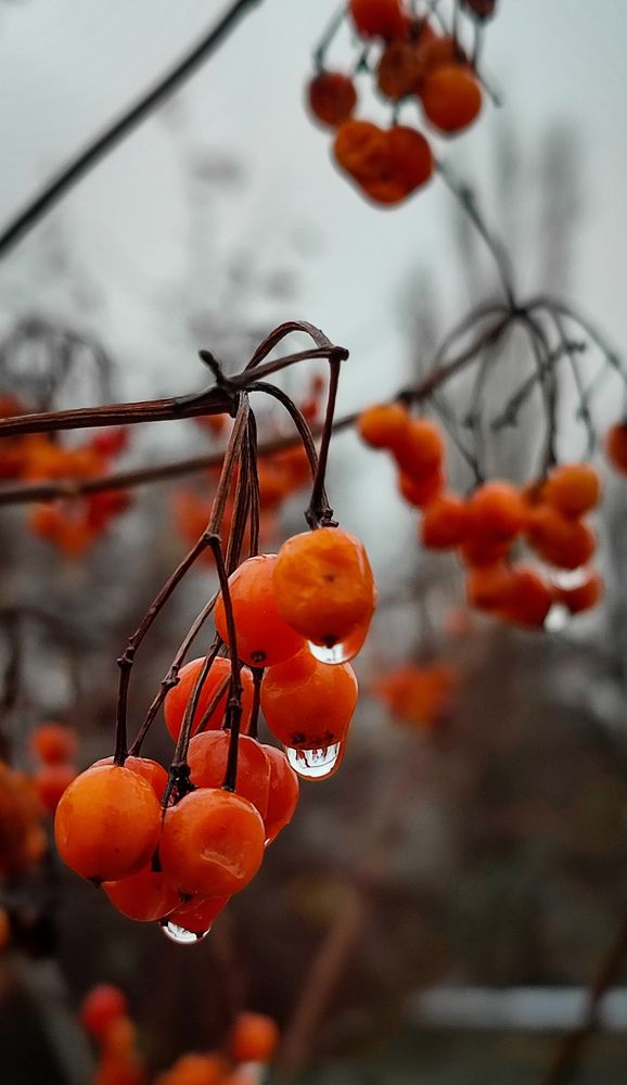 Фотография автора Анастасия Мамаева