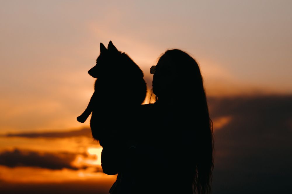 Photograph by Ангелина Ледовская