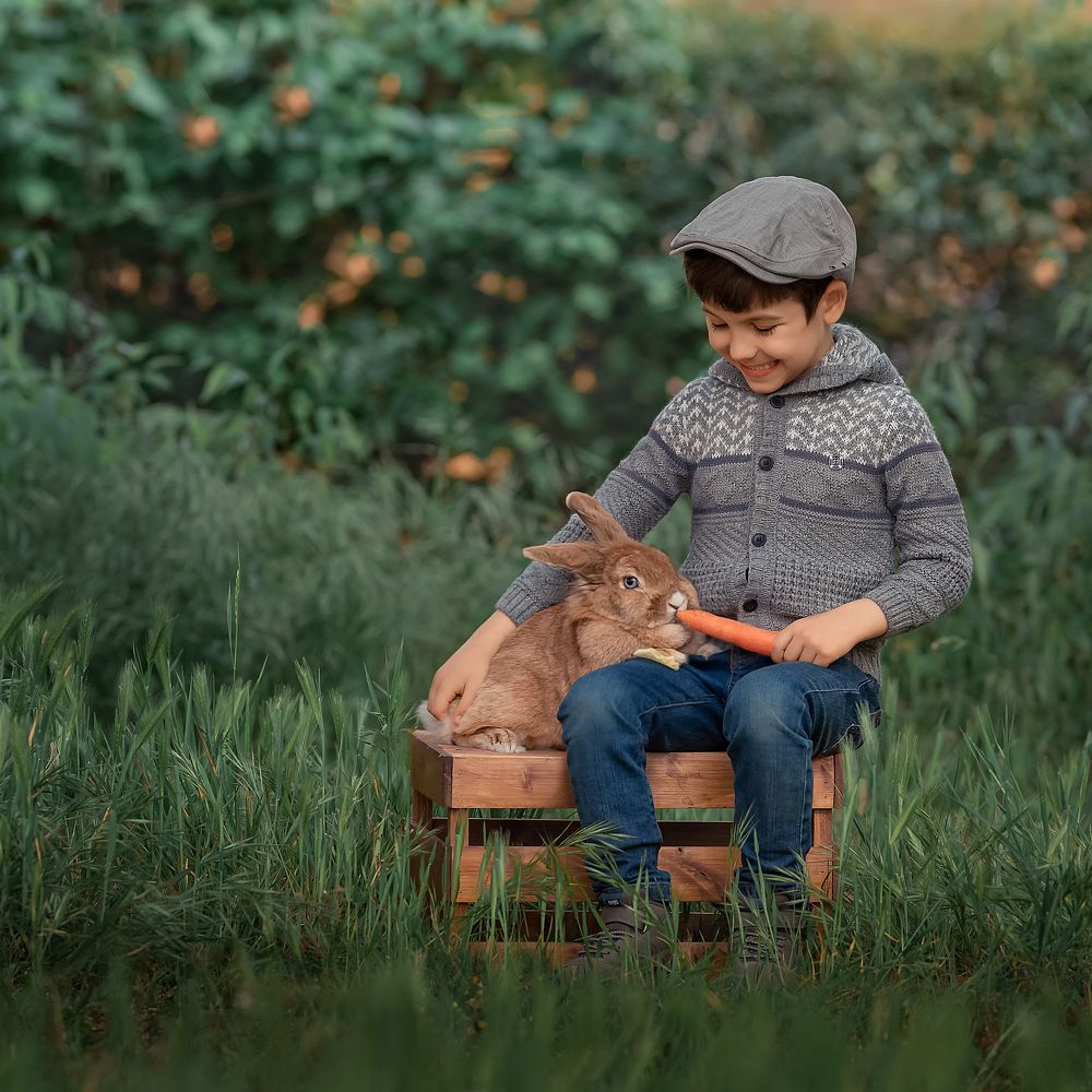Boy and rabbit