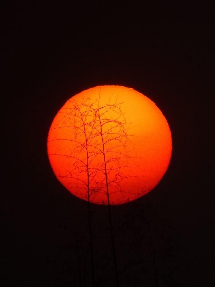 Photograph by Adam Caabay Terrado