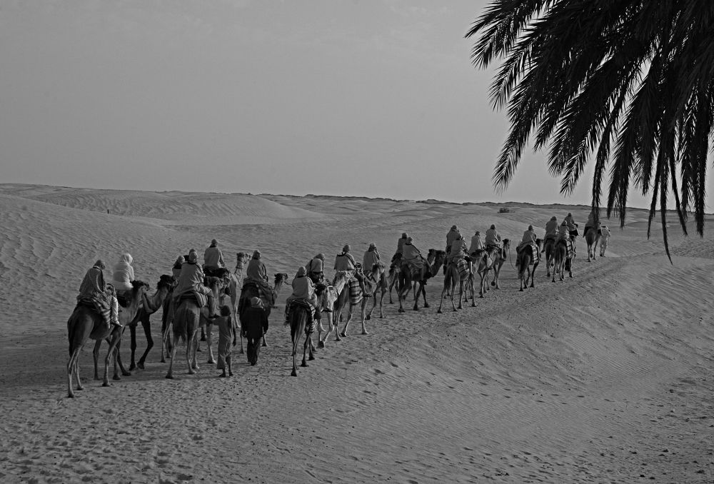 Фотография автора Кирилл Рожнов