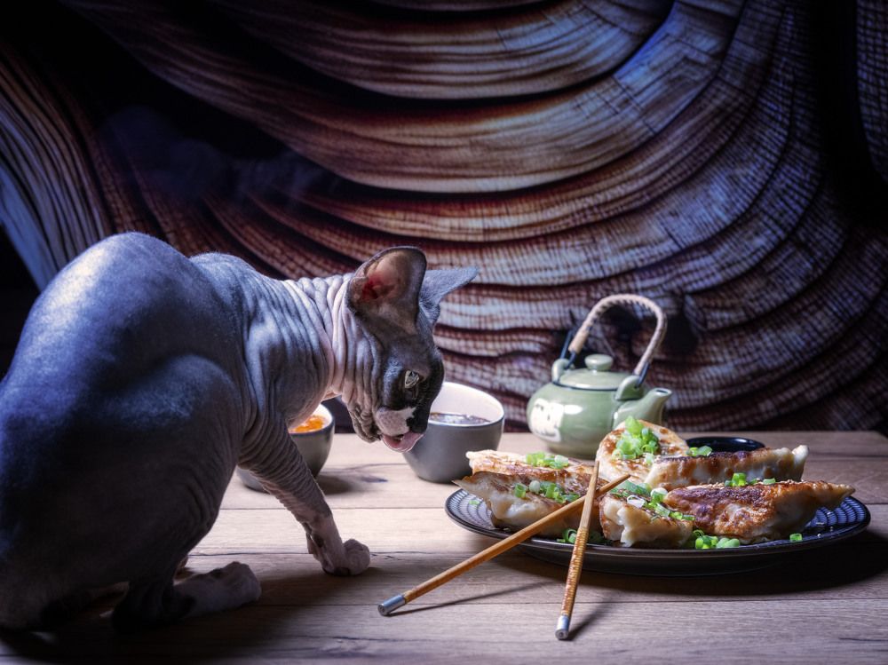 Фотография автора Igor Lukin