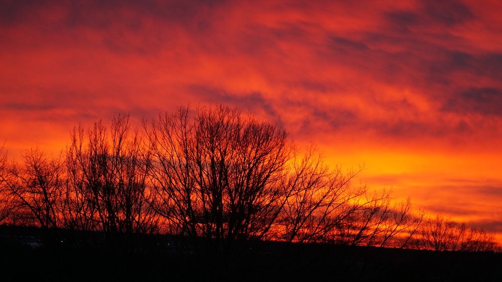 Photograph by Михаил Трусов