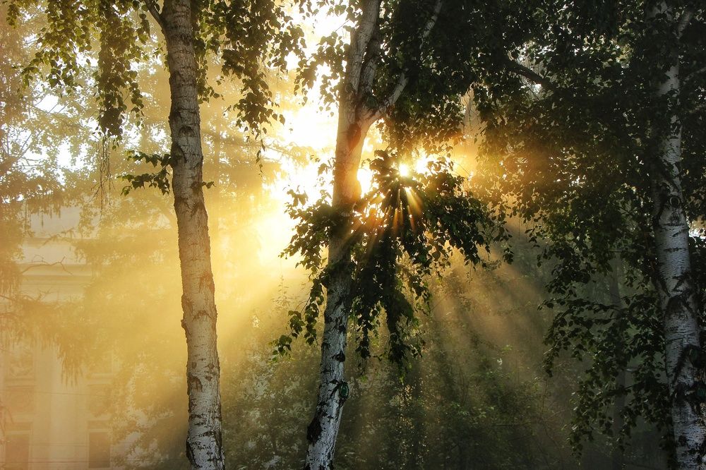 Photograph by Владимир Сушкин