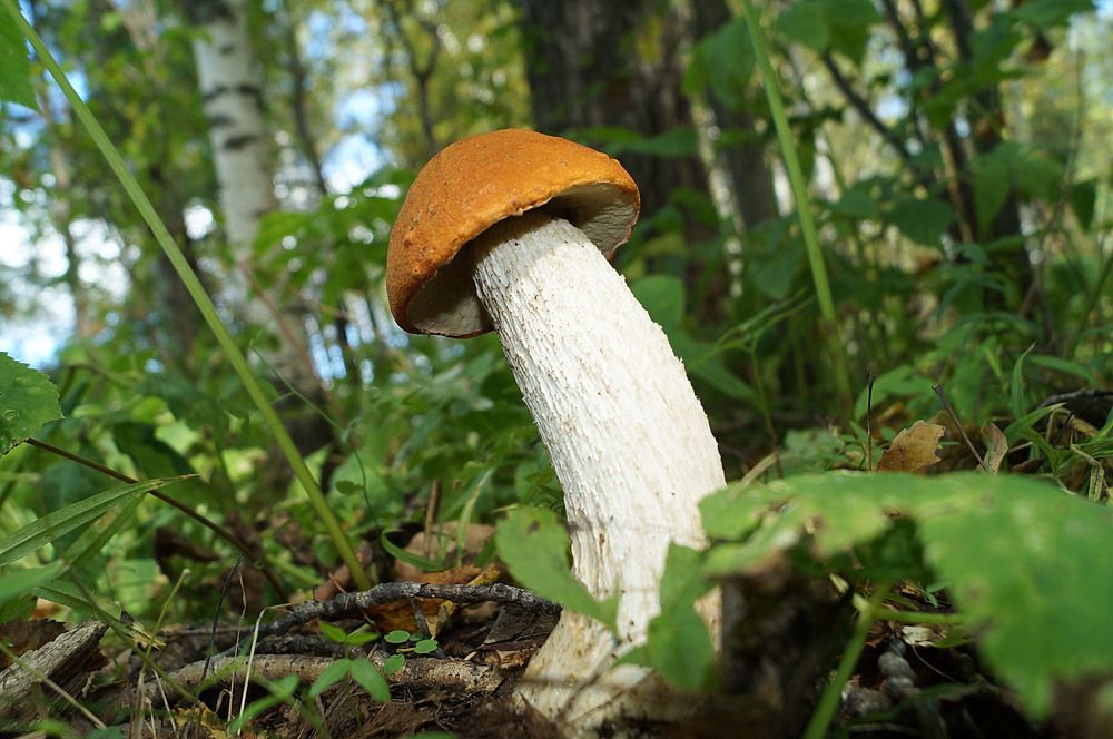 Photograph by Галина Кан