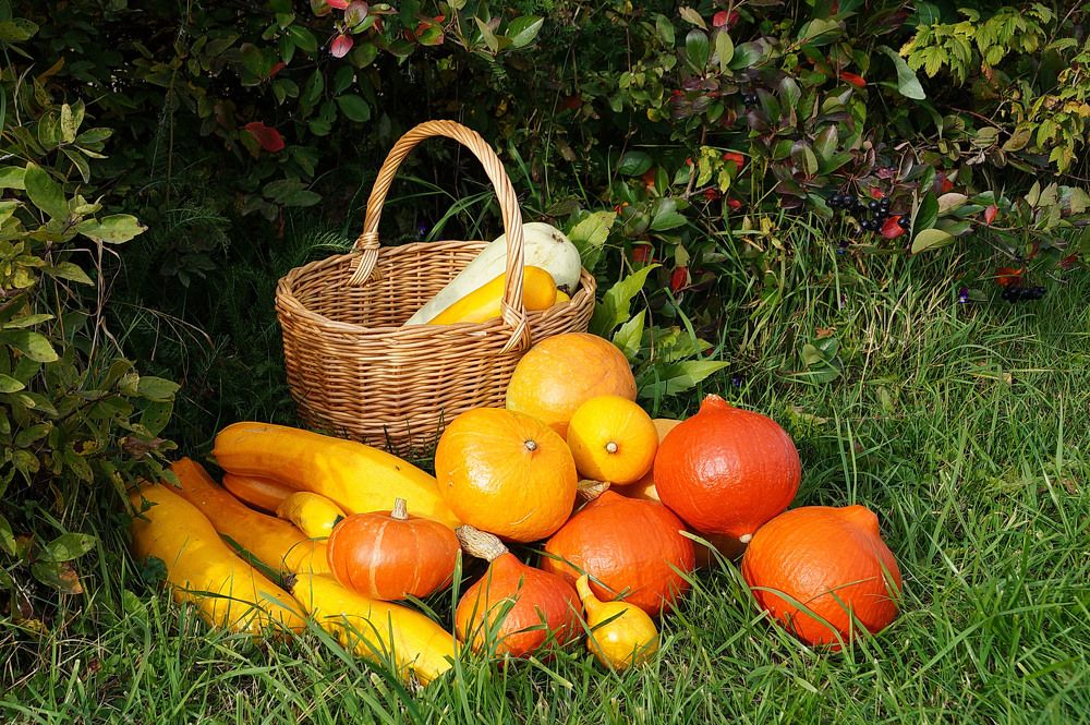 Photograph by Галина Кан