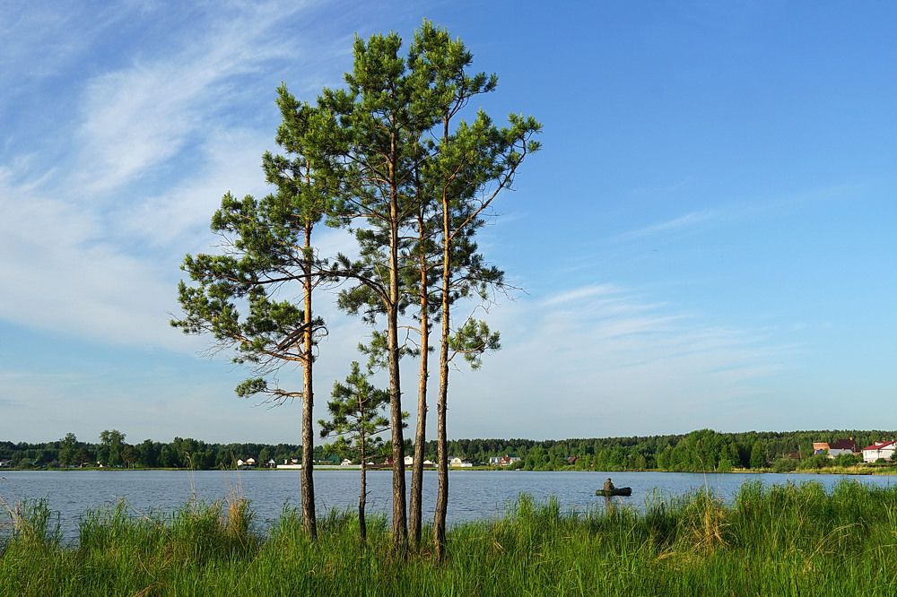 Photograph by Галина Кан