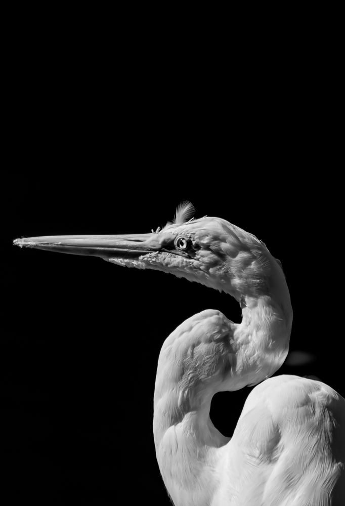 Photograph by Wilker Carvalho