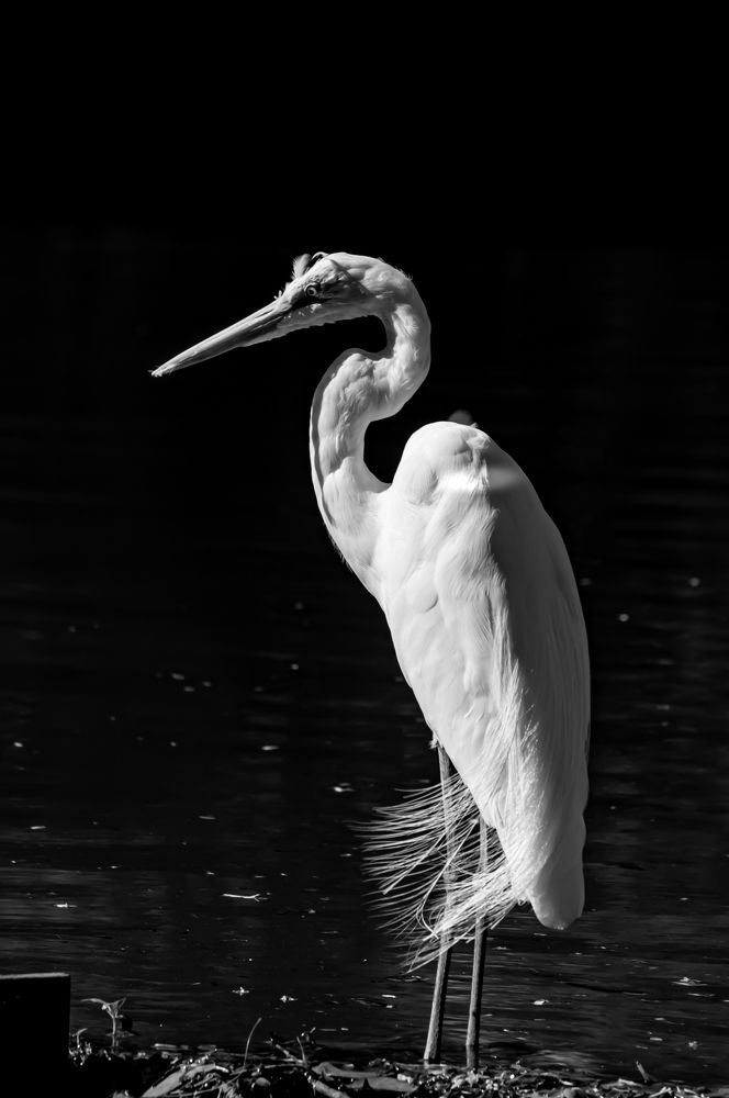 Photograph by Wilker Carvalho