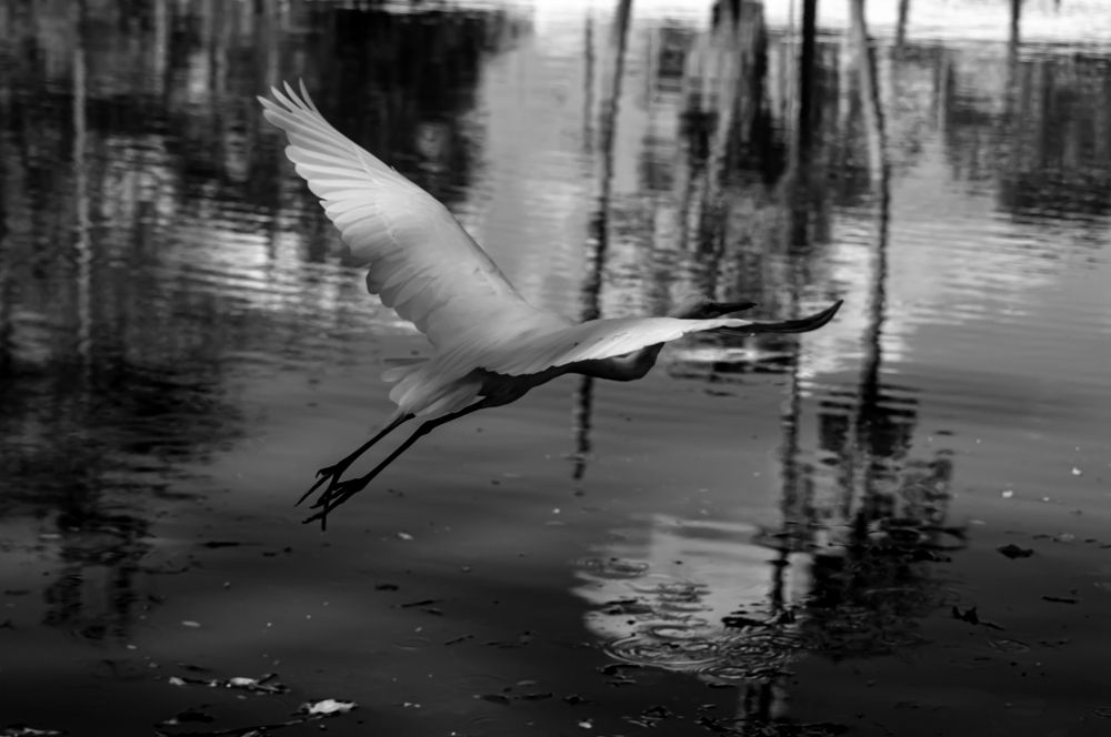 Photograph by Wilker Carvalho