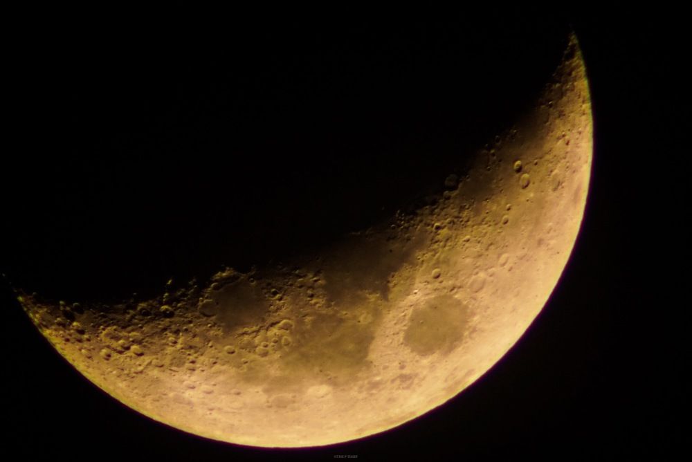 Photograph by phantoms thief