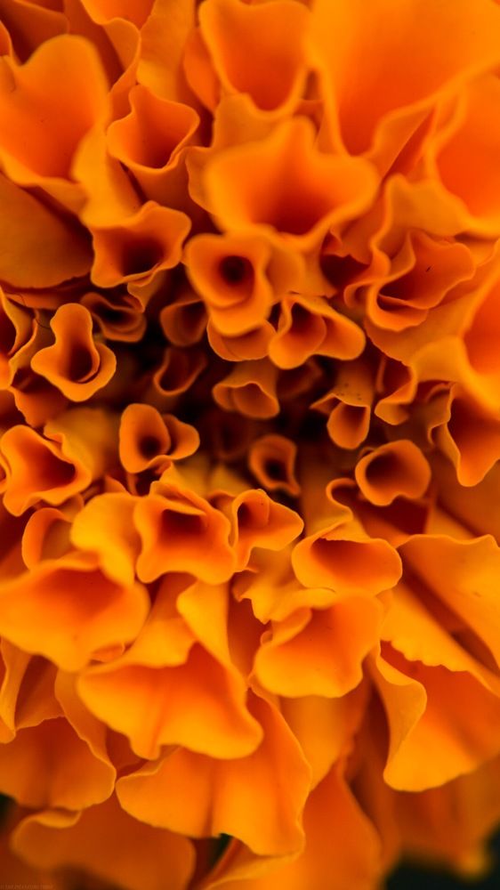 Photograph by phantoms thief