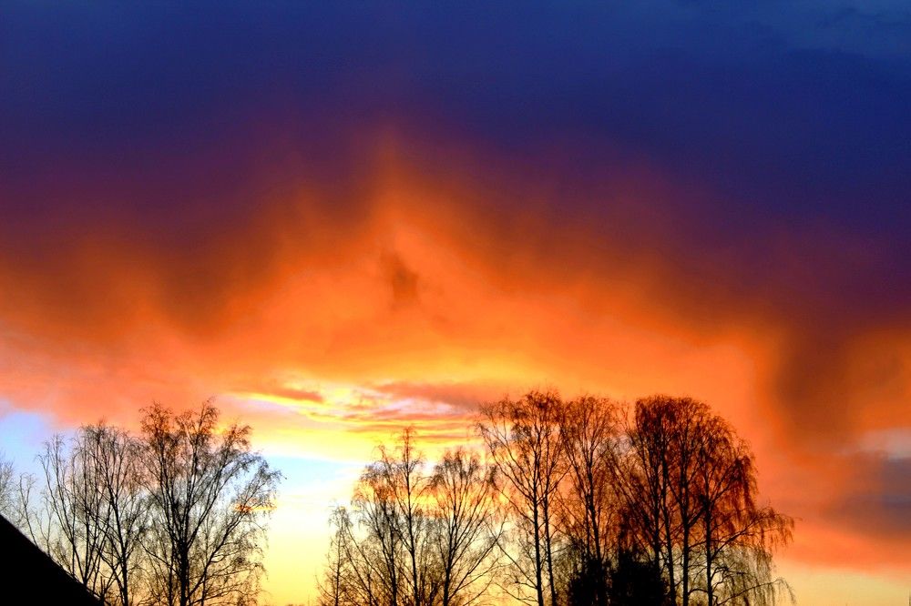 Photograph by Галина Мазур