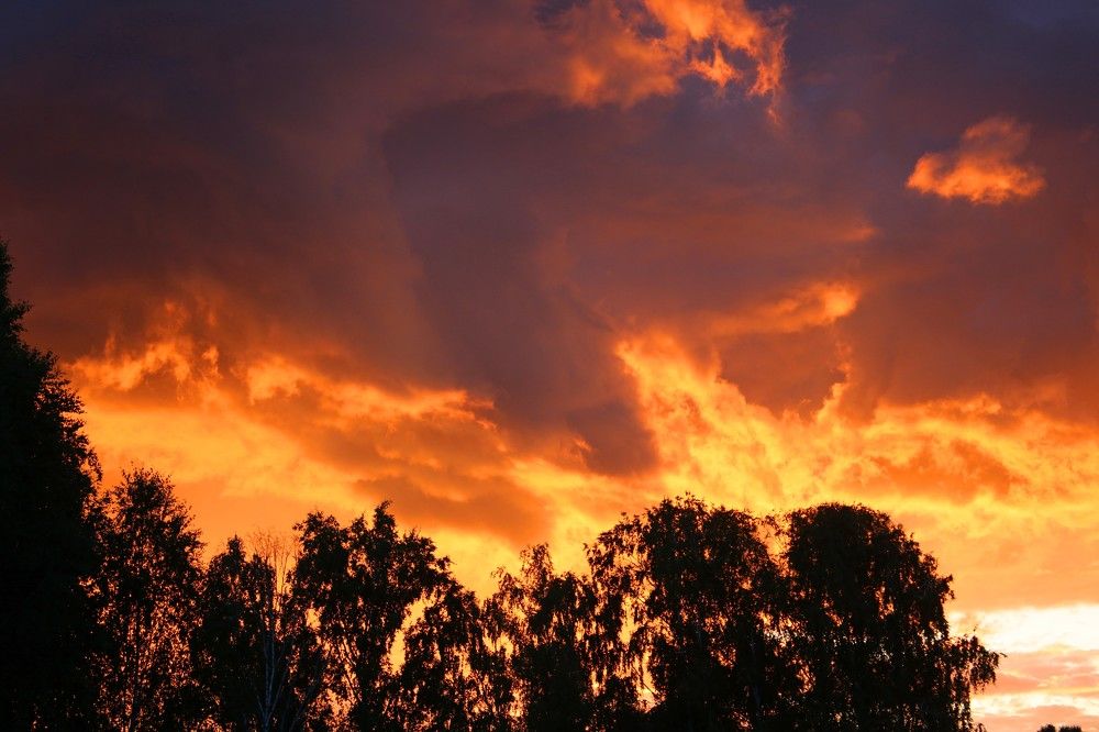 Photograph by Галина Мазур